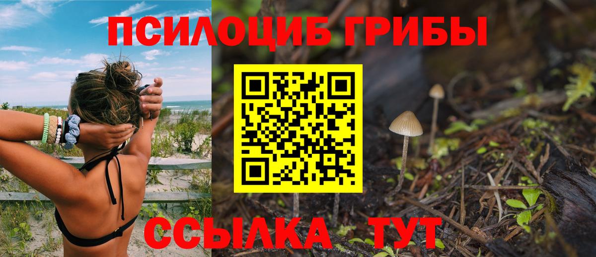 Краснодар  Псилоцибиновые грибы Magic Shrooms  Вход с VPN  Галлюциногенные грибы мицелий 